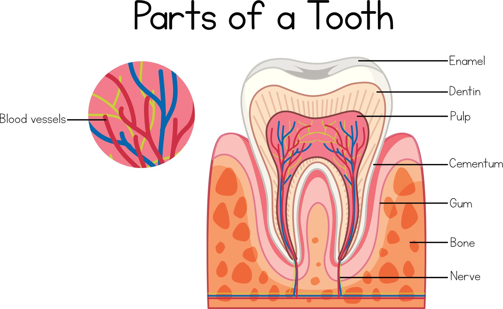 what are the signs you need a root canal treatment